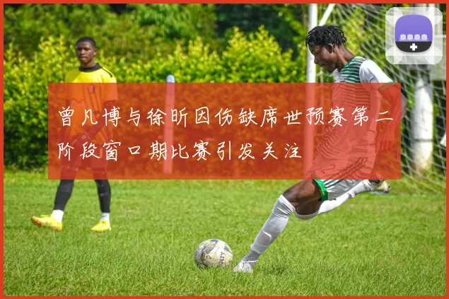 曾凡博与徐昕因伤缺席世预赛第二阶段窗口期比赛引发关注