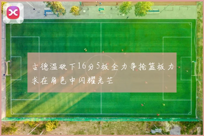 古德温砍下16分5板全力争抢篮板力求在角色中闪耀光芒